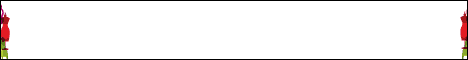 Banner ad please click